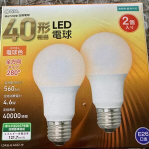 LED電球 電球色