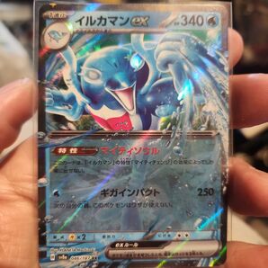 ポケモンカード イルカマンex