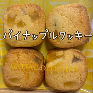 【手作りパインドライフルーツ入りクッキー】 16枚入り