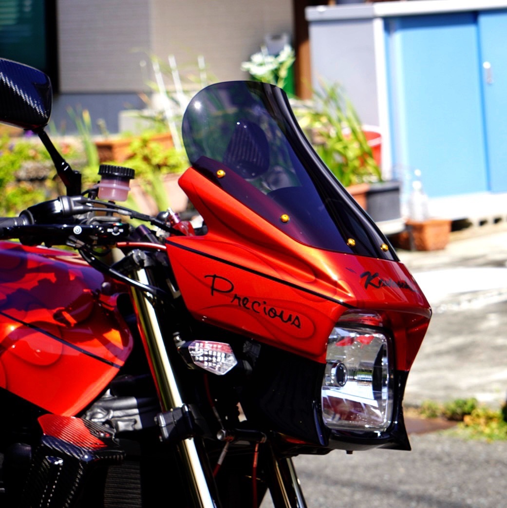 SCREEN ZRX1200DAEG