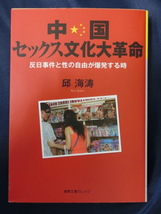 中国セックス文化大革命　反日事件と性の自由が爆発する時_画像1