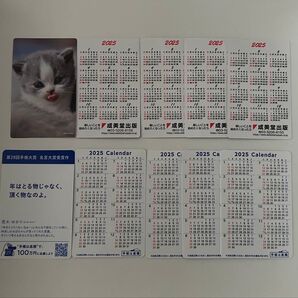 カレンダー 10枚セット