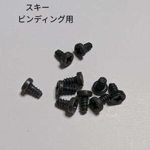 新品 スキービンディング用ネジ ポジ規格 5.5x0.95mm 10個 平ビス