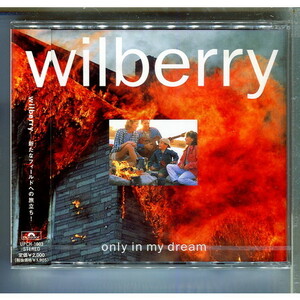 wilberry / only in my dream ★未開封