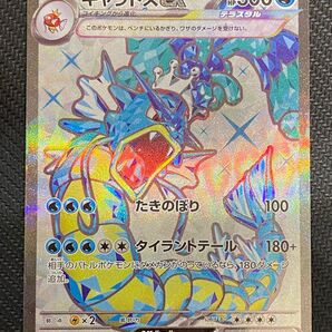 ギャラドス SR