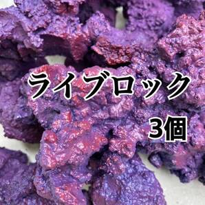 【送料無料】ライブロック 3個(背景、レイアウト、水質、レプリカ、多孔質、バクテリア)