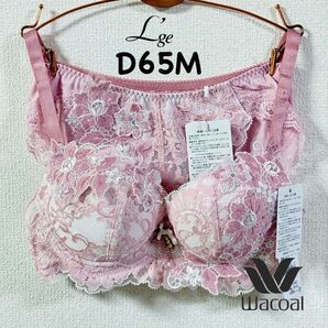 ワコール ルジェ 【ふっくらとした谷間をメイク】P−UPブーゲンビリア D65M