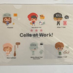 はたらく細胞 クリアファイル