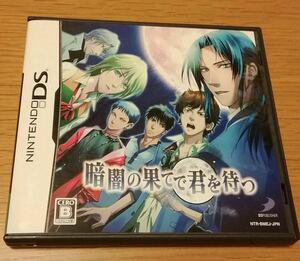暗闇の果てで君を待つ DSソフト☆ 送料無料 ☆
