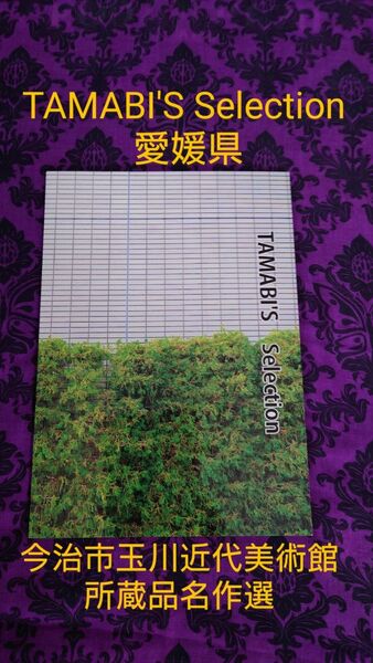 TAMABI'S Selection 愛媛県 今治市玉川近代美術館所蔵品名作選