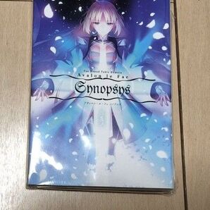 竹箒 c100 アヴァロンルフェシノプシス 型月稿本