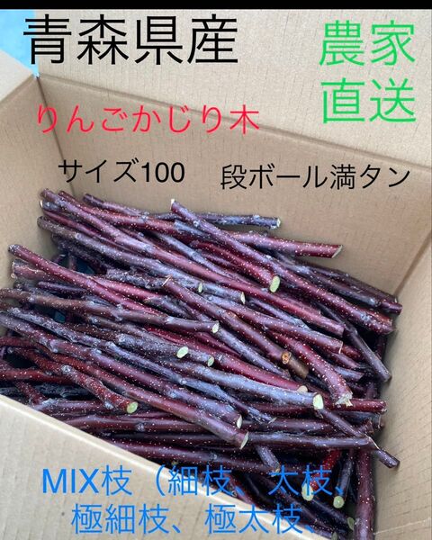 大好評 無農薬 青森県産 りんごかじり木 100サイズ満タン カットクズMIX