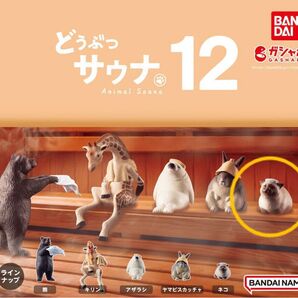 どうぶつサウナ12 ネコ