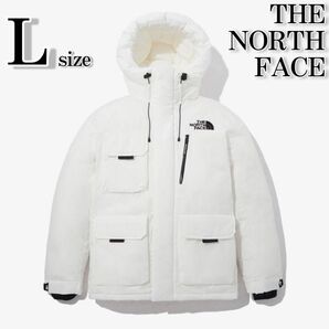 【新品】ノースフェイスPOLAR AIR DOWN JACKET L