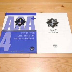 使用済み 玉井式 数の極 4級 (Grade IV、グレード4)