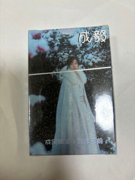 新品未使用 成毅 チョンイー トレカ55枚