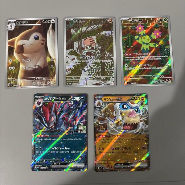 ポケモンカード RR AR オオタチ ウリムー マラカッチ Nのゾロアーク マンムー バトルパートナーズ