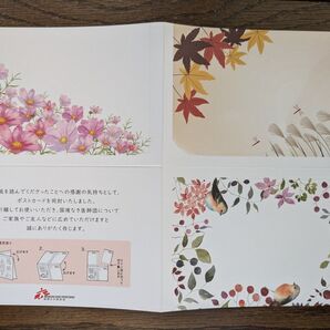 ポストカード イラスト 絵ハガキ 絵葉書 寄付