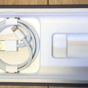 Apple Lightningケーブル 純正