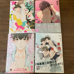 いろごとセラピー、君とはこれから、野田家の教えにより、湯宿の次男をどうにかしたい(碗島子)