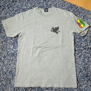 stussyステューシー ラスタ 半袖Tシャツ