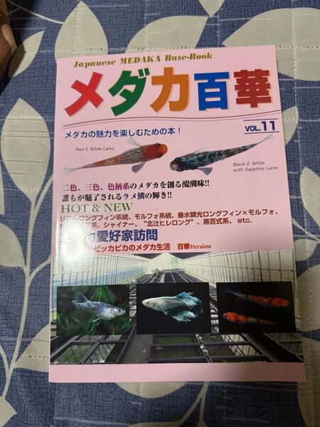 メダカ百華 VOL.11 と vol8 森文俊 (著者)