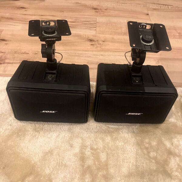 BOSE 101MM