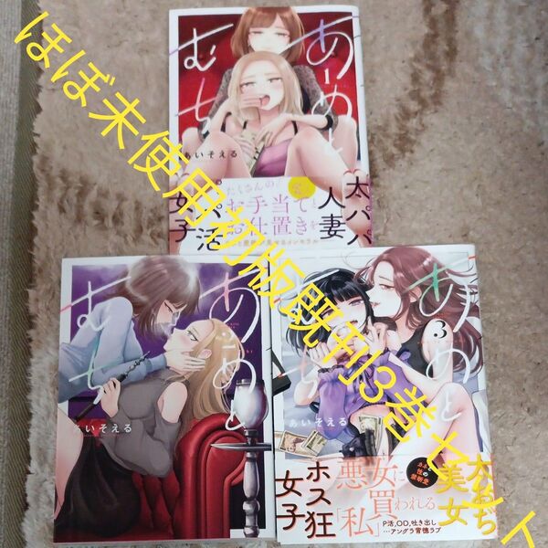 ほぼ未使用 全巻初版本 既刊3巻セット あめとむち (YKコミックス) あいそえる/著