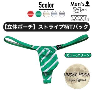 307.Tバック ビキニ 男性下着 パンツ アンダーウェア 立体縫製 高品質 ローライズ もっこり ストライプ アンダームーン