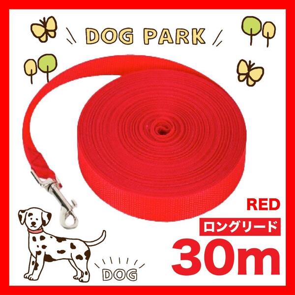 犬 リード ロングリード 30m 小型犬 中型犬 散歩 トレーニング リード30M2