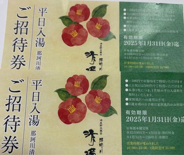那珂川 清流 平日無料券2枚