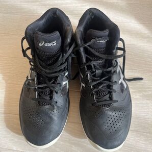 asics バッシュ 24.5cm