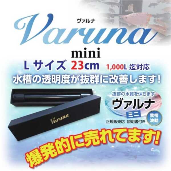 水槽の水が綺麗になります【ヴァルナ23㎝】水替え不要で透明度を抜群に保ちます!有害物質や病原菌も強力抑制☆魚が元気に長生きします!