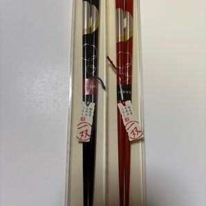 【高級漆】【希少輪島塗】夫婦箸 ギフト 月