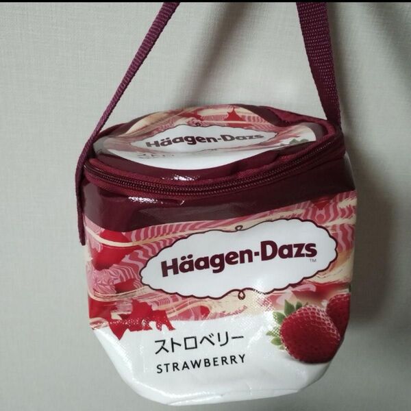 ハーゲンダッツ保冷バッグ