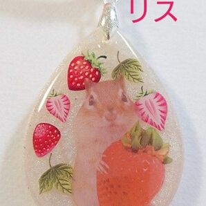 リスちゃんはイチゴ好き*かわいいネックレス レジンネックレス リス リスアクセサリー レジンリス ネックレスリス