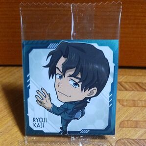 10.加持リョウジ エヴァ エヴァンゲリオン ヱヴァンゲリヲン にふぉるめーしょん 補完計画 ウエハース シール