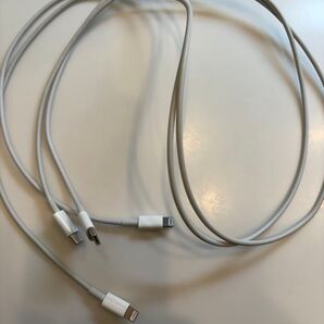 Apple Lightning 充電ケーブル 純正 正規品 2本セット