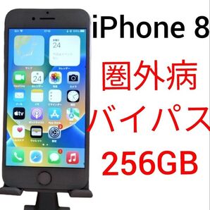 iPhone 8 256GB 圏外病バイパス