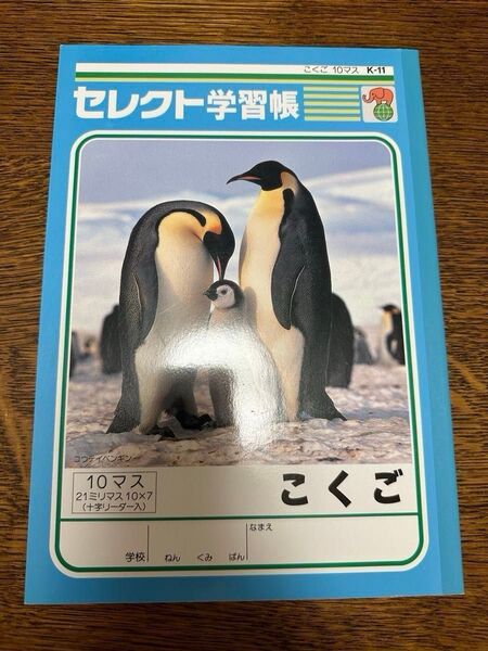 60円 ノート 七田式 10マス 15行 英語 13段 オルパス 新品 ドラえもん 国語 こくご 浜学園 馬渕教室 ルーズリーフ
