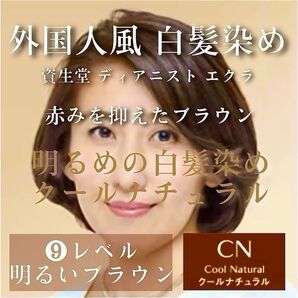 資生堂 ディアニスト エクラ 白髪染め ヘアカラー 【イルミナカラー など同梱割有おまとめはコメントくださいませ】