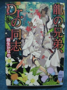 樹生かなめ　龍の兄弟、Dr.の同志　文庫