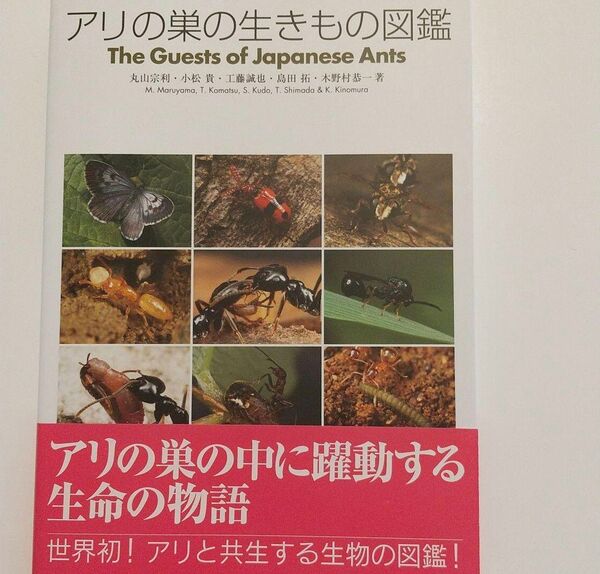 アリの巣の生きもの図鑑