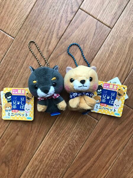 豆柴三兄弟 ミニパペット アミューズメント景品