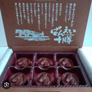 十勝 ばんえいチョコ 限定 柳月 馬 蹄鉄 2箱