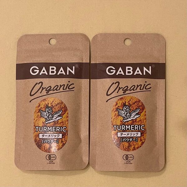 GABAN ターメリック 15g ×2袋