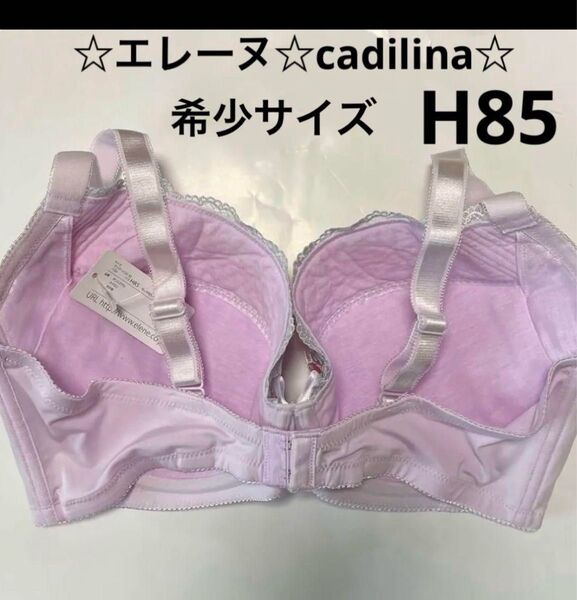 ②☆エレーヌ☆cadilina☆希少サイズ☆豪華で可愛いレースのブラジャー☆