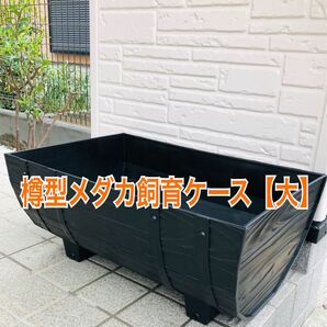 樽型メダカ飼育ケース【大】