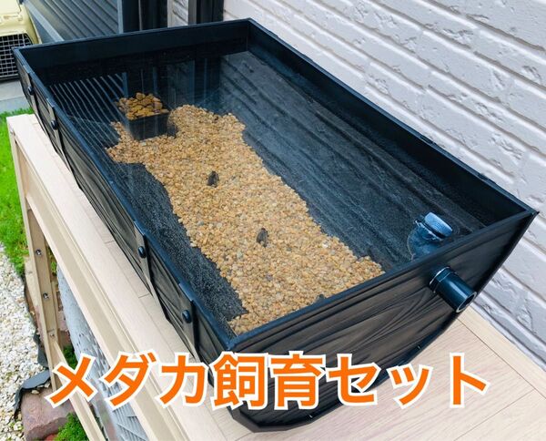 樽型メダカ飼育ケース【大】麦飯石、赤玉土セット