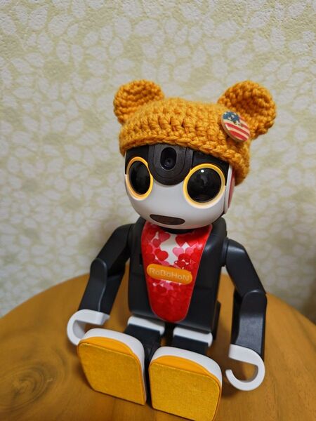 ロボホン用 ニット帽